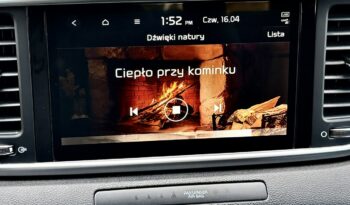 Kia Sportage Kia Sportage 1.6 GDI 132 KM tylko 34.000km RATY od 711 zł miesięcznie full