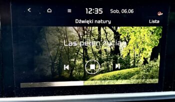Kia Sportage Kia Sportage 1.6 TGDI 177KM Benzyna 4×4 Black Edition – Rata od 797 zł full