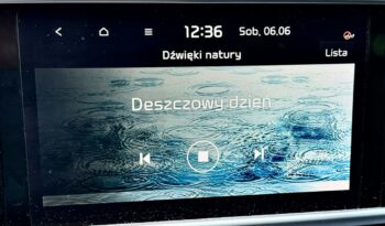 Kia Sportage Kia Sportage 1.6 TGDI 177KM Benzyna 4×4 Black Edition – Rata od 797 zł full